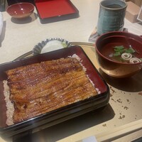 うなぎ 目白ぞろ芽 - 