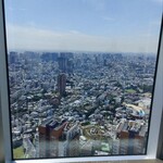 オービカ モッツァレラバー - 