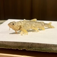 天白 - 