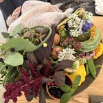 アグリスケープ - 