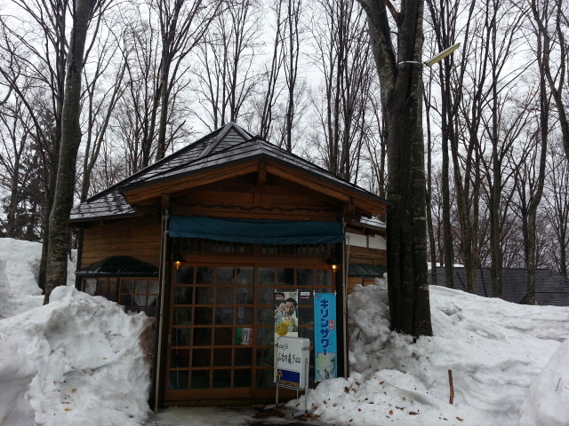 カフェぶなの森Ｆｕｕ（フー） - 仙北市その他（パスタ）の写真
