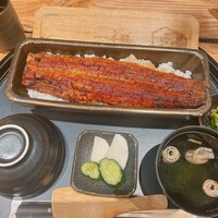 うなぎ四代目菊川 ミッドランドスクエア 名古屋本店 - 