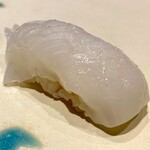 鮨 清松 - アオリイカ