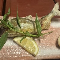 季節割烹 勝味 - 