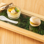 地球星 - アミューズ