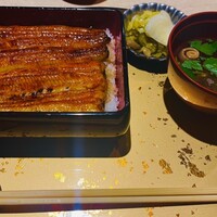 うなぎ 目白ぞろ芽 - 