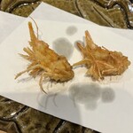 てんぷら 千の種 - 