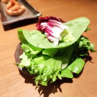 生粋 - 