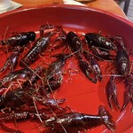 レストラン ナズ - 