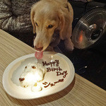 アネア　カフェ - 豆乳のケーキで〜お祝いです