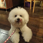 アネア　カフェ - 待ち切れません！！