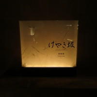 けやき坂 - けやき坂