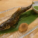 炭火割烹とも - 狩野川の活あゆ塩焼き