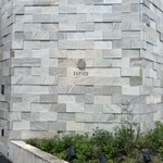 256236353 - 