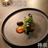COCCHI - 