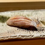 匠 進吾 - いつもは握りのスターターの春子。
      酢の〆具合が絶妙で、食感はふうわり。絶対的な安心感のある美味しさです。