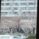 江戸前汽船 もんじゃ屋形船 - バッチリお花見