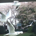 君たちも楽しいか？