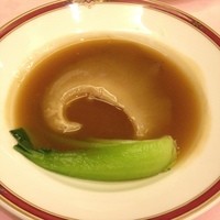 赤坂 四川飯店 - フカヒレの姿煮