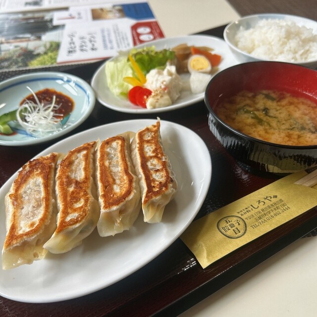 秋田五城目 五目餃子 しろや - 八郎潟（餃子）の写真