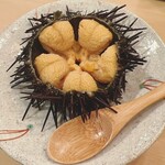 木挽町 とも樹 - 女川のムラサキウニ