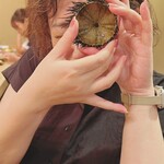 木挽町 とも樹 - ムラサキウニの殻で遊ぶ女史