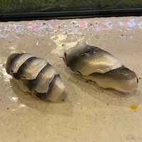 すし処 初音 - コノシロ新子四丁二丁の食べ比べ