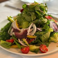 IL LUPINO PRIME - 