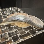 赤坂 鮨大谷 - 熊本の小肌