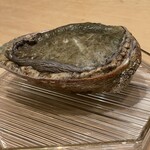 256294597 - 