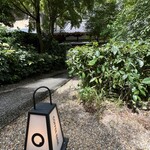 Coffee Base NASHINOKI - 