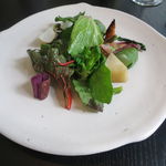 ラ・ボンヌターブル - 各地農園から届いた畠のサラダ2