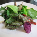 ラ・ボンヌターブル - 各地農園から届いた畠のサラダ1