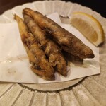 茨城地產地消之店 鮟鱇鍋×常陸牛 Mondokoro 勝田站東口店