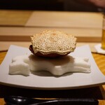 炎水 - 北海道をイメージさせた毛がない毛蟹の甲羅