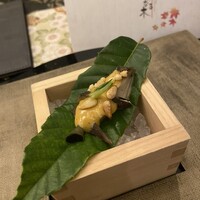 新宿 星のなる木 - 