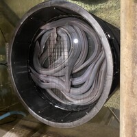 うなぎのしろむら - 