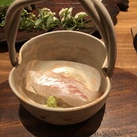 弧柳 - 