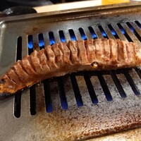 豚焼肉 グルマンズ - 一本タン