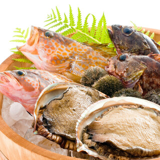 茨城の新鮮海鮮を満喫！海の恵みを味わう