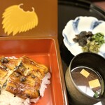 京懐石 みのきち - 