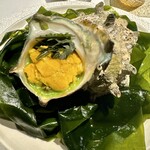 レフェルヴェソンス - 