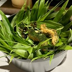 レフェルヴェソンス - 