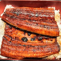 玄品 大阪 梅田東通 ふぐ・うなぎ・かに料理 - 