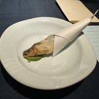 セルサルサーレ - 