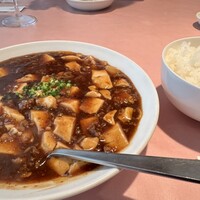 シェフス -  シェフス -