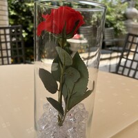 ガストロノミー ジョエル・ロブション - 