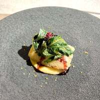 Maison B - 