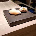 島津 - 追加の新イカ