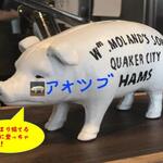 IL PLANETARIO - アオツブさんありがとう！